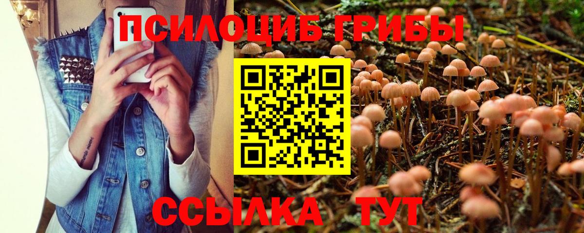 Псилоцибиновые грибы Magic Shrooms  Вход с VPN  Донецк 